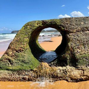 Meet your Posher, Ann